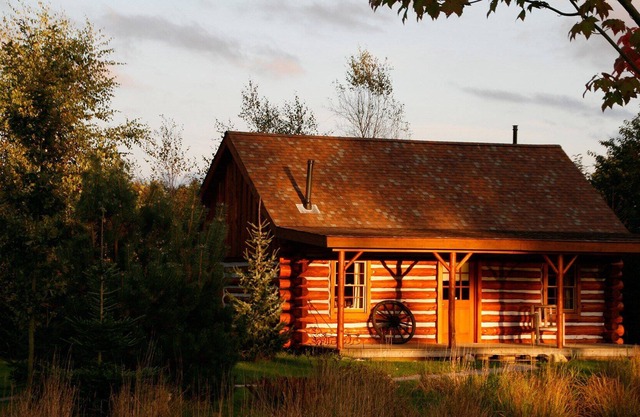 Amerikaanse log cabin