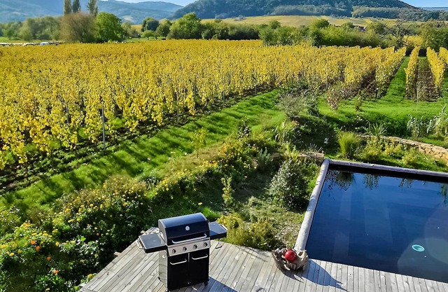 Amidst vines, hills and forests welcomes you this modern vacation home with pool.