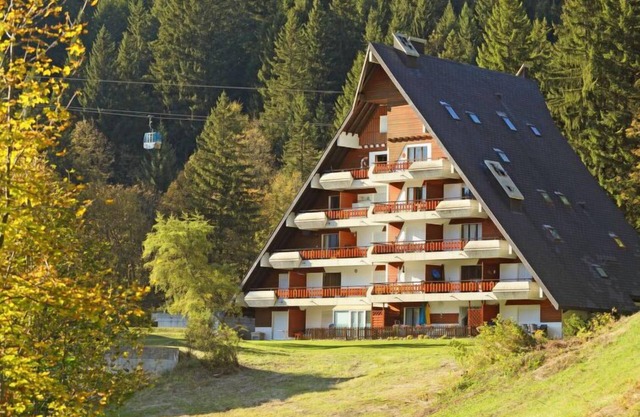 Anémone 2/16 by Interhome