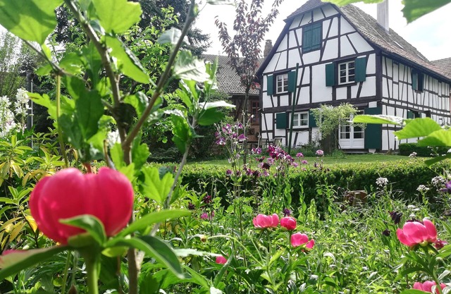An Alsatian House