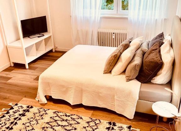 An der Uni Klinik Homburg, Neueröffnung Exklusiv neu renoviertes Apartment mit Küche und Badezimmer