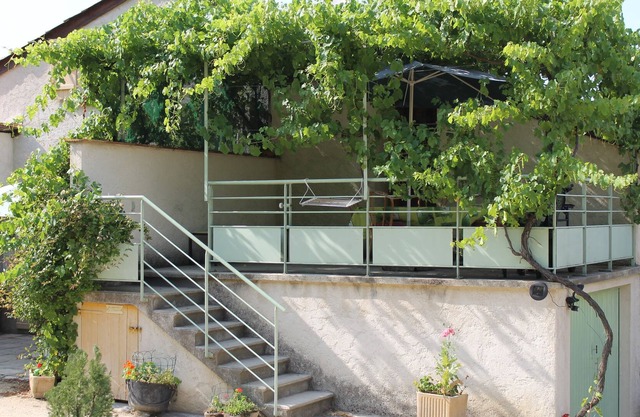 An oasis in the vineyard