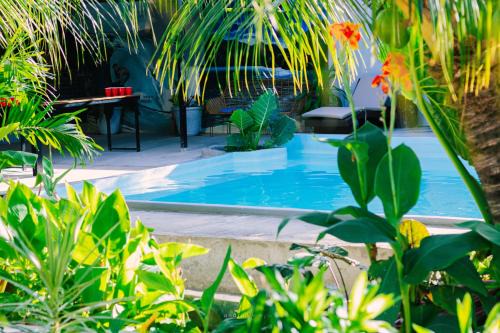 Ananas Guesthouse