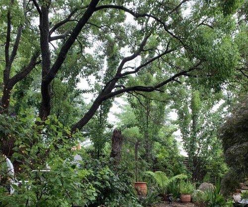 Ananda Cottage