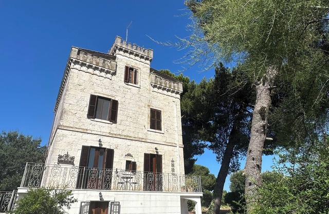 Ancient tower in the countryside, surrounded by greenery, 6 km from Ostuni (Br).