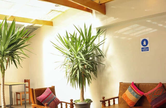Andes House Cusco