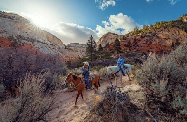 Angels Landing Zion Oasis+ Resort Access