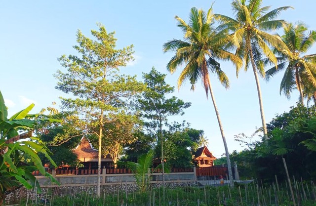 Angler Homestay & Joglo