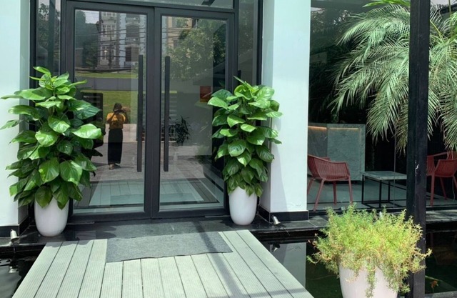 Anh Hong Hostel
