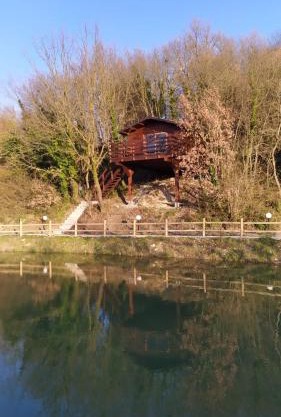 ANIMA MUNDI case SULL'ALBERO