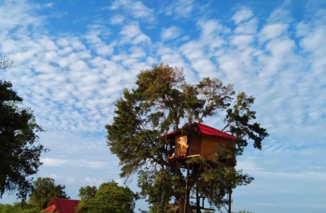 ANIMAL POINT YALA RESORT