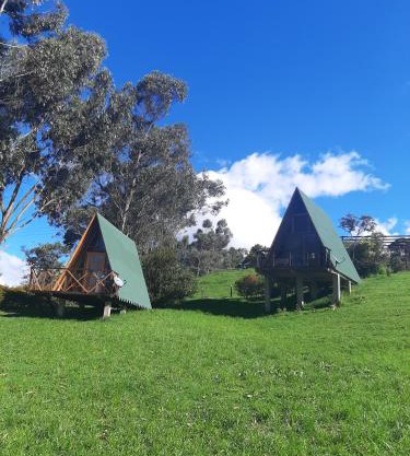 Animals Glamping