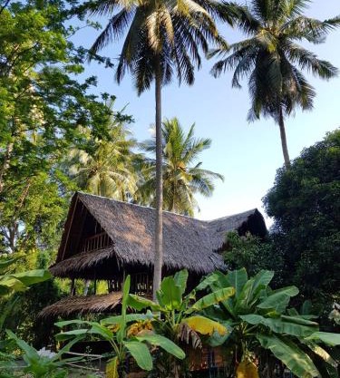 Antonio's Ko Yao Noi