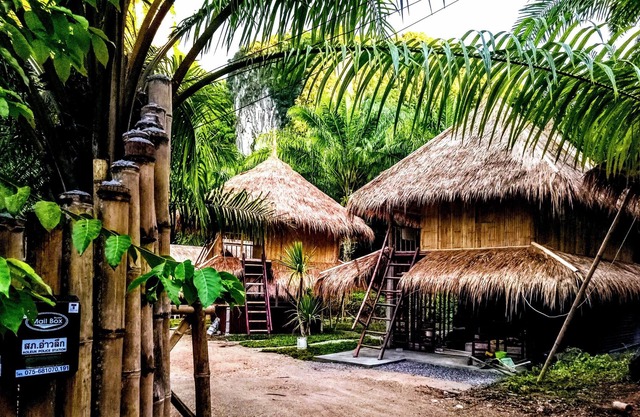 Aoluek Paradise