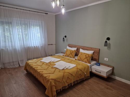 Apartament Alena Oradea