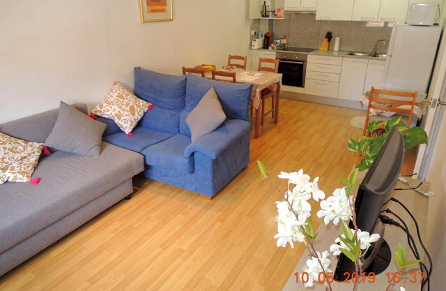 Apartament Besalú