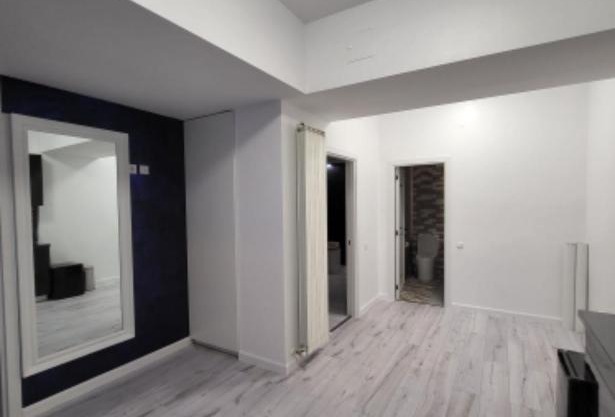 Apartament Carol