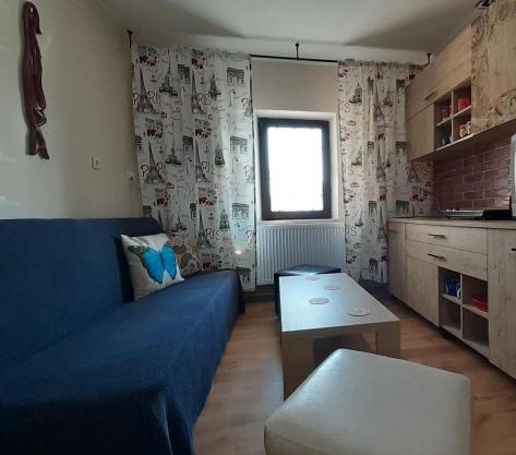 Apartament Cristina cu doua dormitoare & balcon & parcare