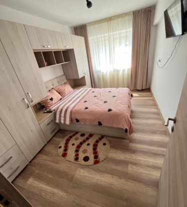 Apartament cu o cameră