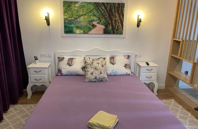 Apartament Gabriela 39