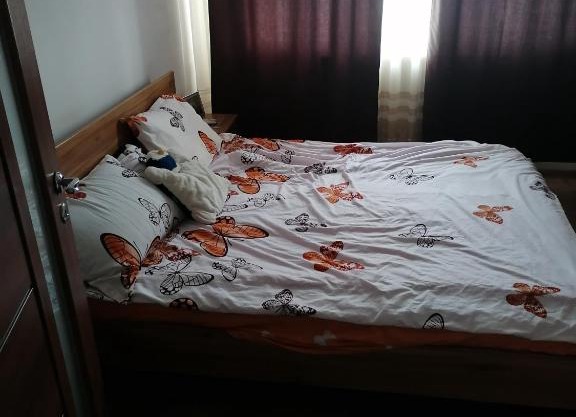 Apartament Hațeg