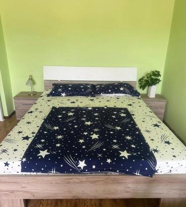 Apartament La Ilie