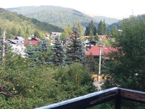 Apartament Potecuta Ursului