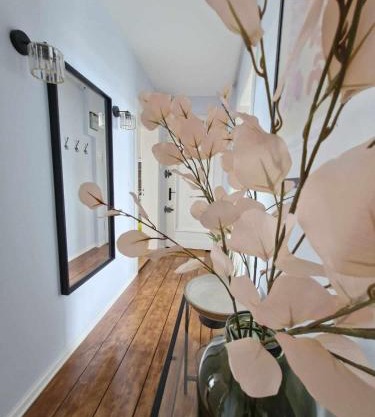 Apartament Potulicka