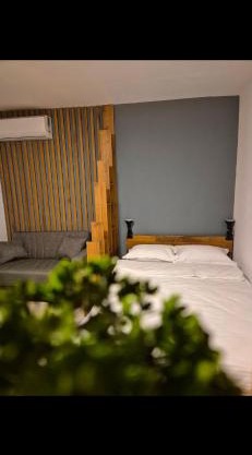 Apartament Raul