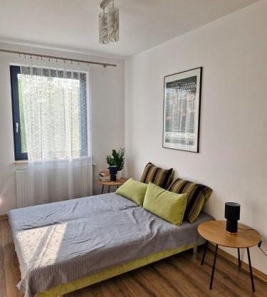Apartament Ruczaj