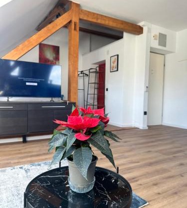 Apartament Salzburg mit Untersberg Ausblick