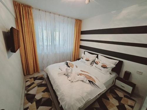 Apartament Sofy2