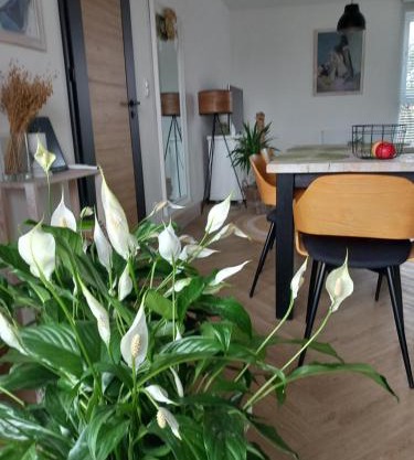 Apartament w centrum z panoramą miasta