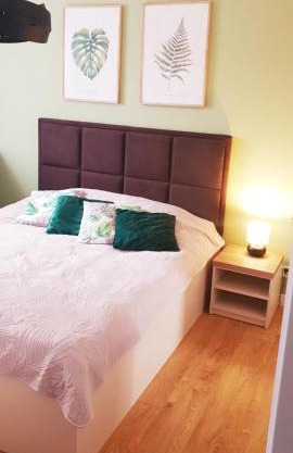 Apartament Zielony - Okrzei (Garaż, Targi)