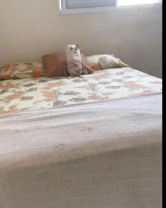 Apartamento aconchegante
