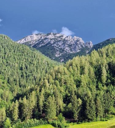 Apartamento Pino Verde in San Colombano VT Vista, Natura, Wifi