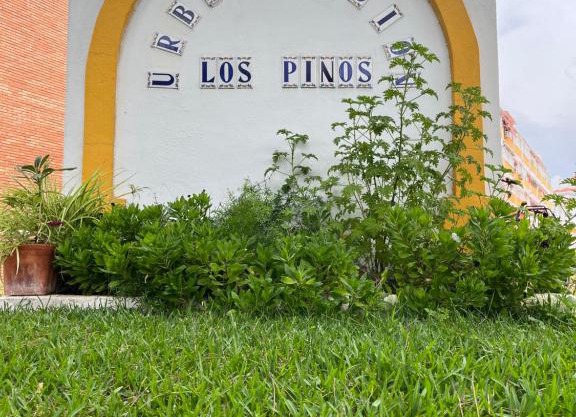 Apartamento Portisol