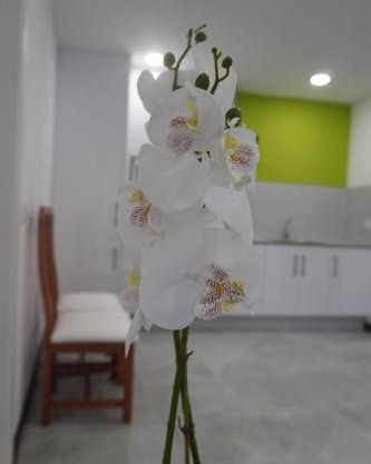 Apartamento Sanin 3
