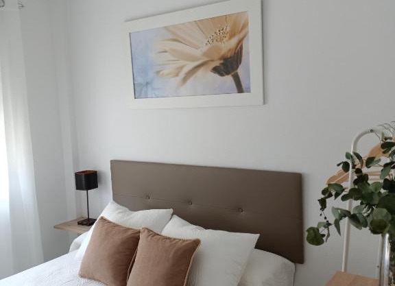 APARTAMENTOS MATUTE