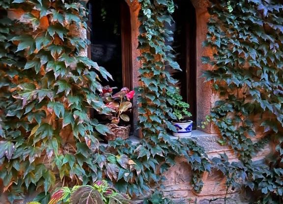 Apartamentos Ordesa Infinita