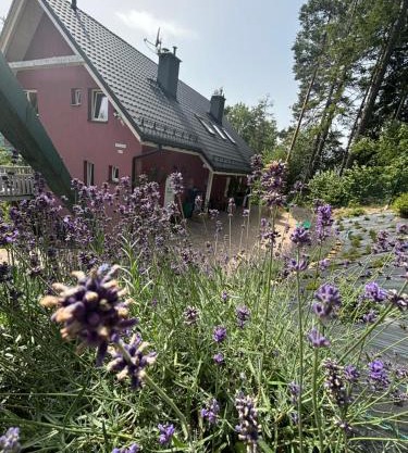Apartamenty Lavender Hill
