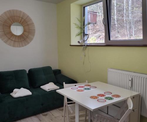 Apartamenty Ustroń Wczasowa 90