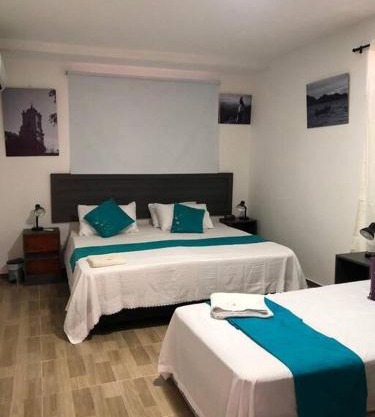 Apartasuite 10-72. 3