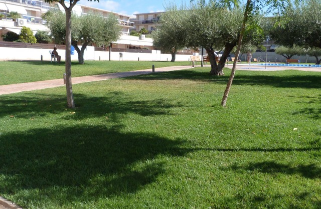 Apartment in ALCANAR PLATJA, Costa Daurada, Spain
