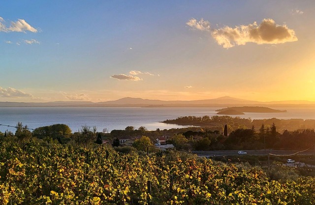 Apartment for 4/5 Persons, Amazing View on Trasimeno Lake