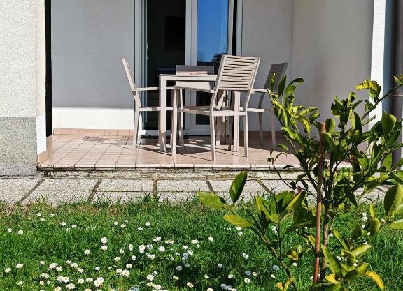 Apartma S&M