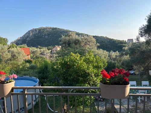 Apartman Buljarica-Bačvice 1