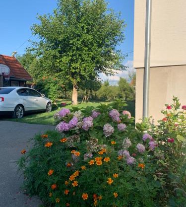 Apartman MAURO