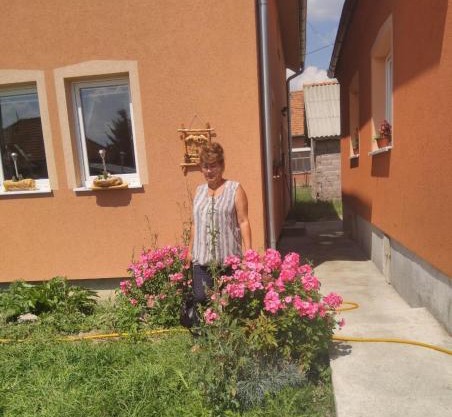 Apartmani 