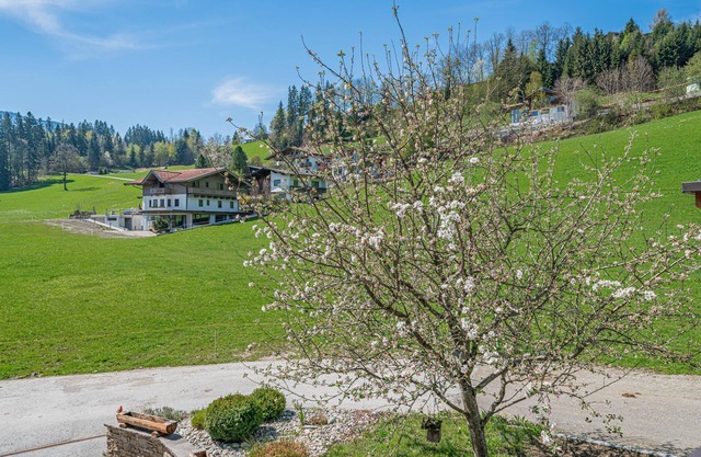 Apartment on a farm with mountain views